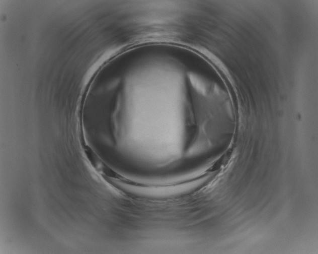 X0000073701341200608171103