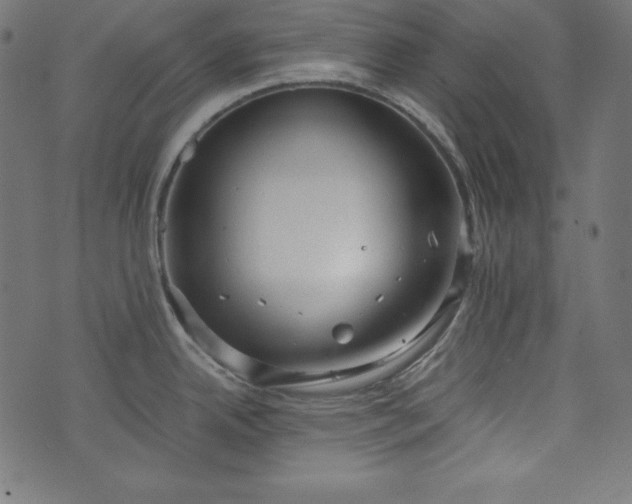 X0000073701342200608171103