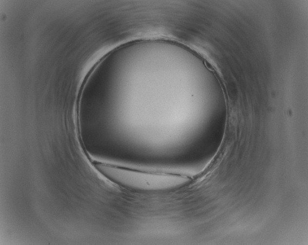 X0000073701343200608171103