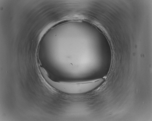 X0000073701344200608171103