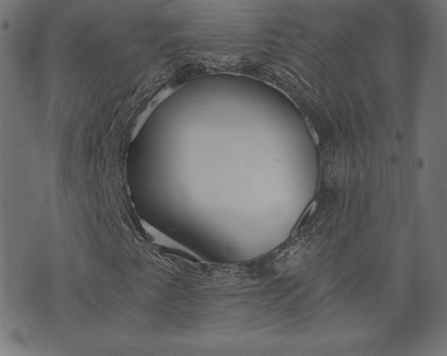 X0000073701345200608171103