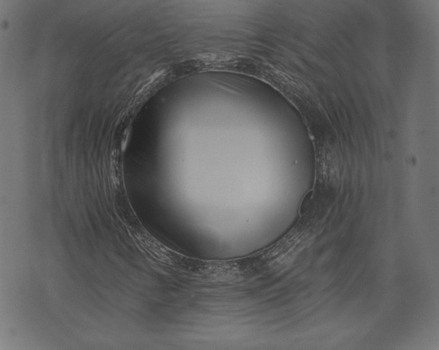 X0000073701346200608171103