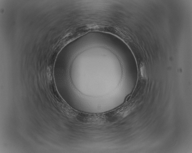 X0000073701347200608171103