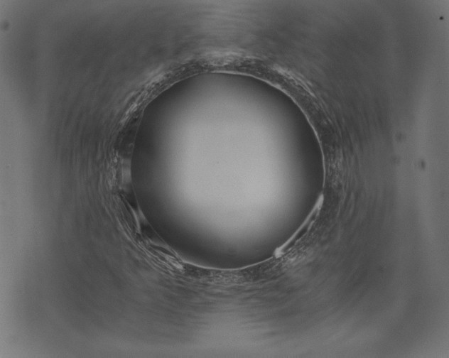 X0000073701349200608171103