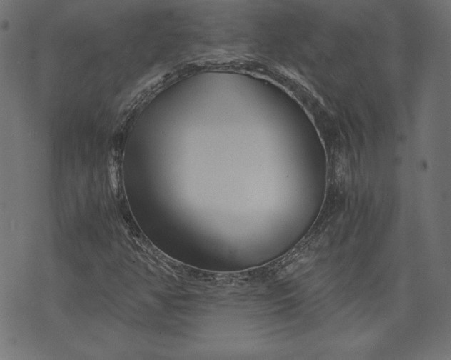 X0000073701350200608171102