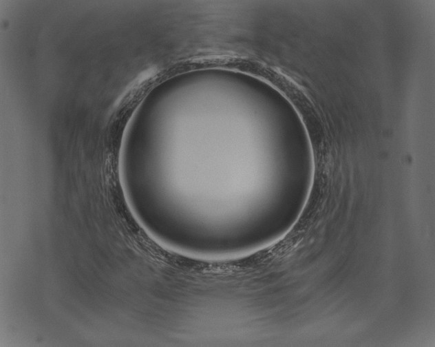 X0000073701351200608171102