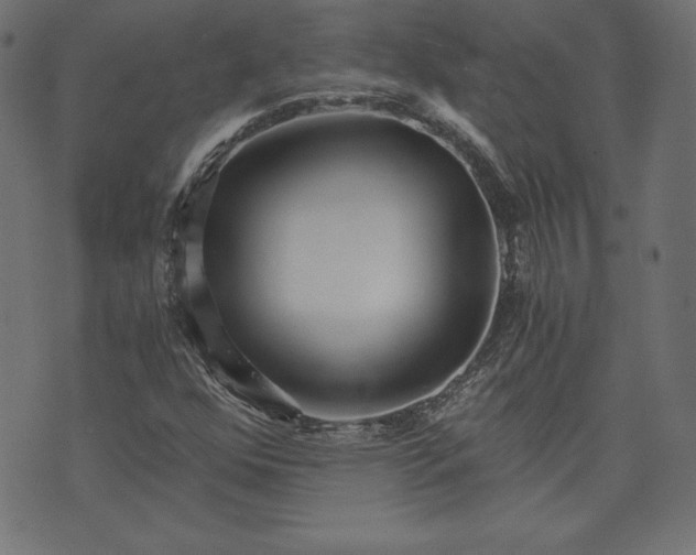 X0000073701352200608171102