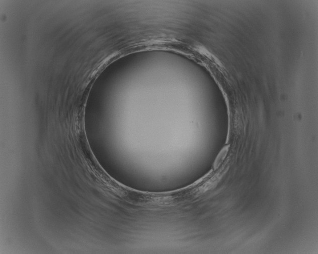 X0000073701353200608171102