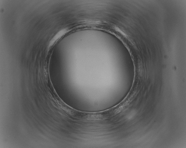 X0000073701354200608171102