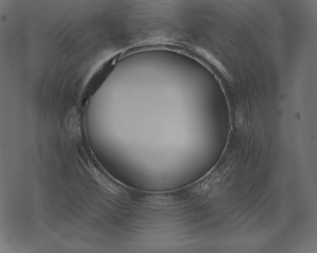 X0000073701356200608171102