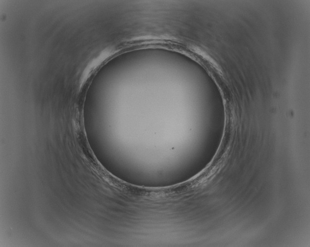 X0000073701357200608171102