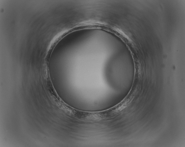 X0000073701358200608171102