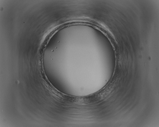 X0000073701360200608171102