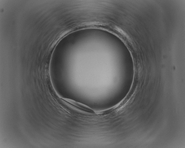 X0000073701361200608171102