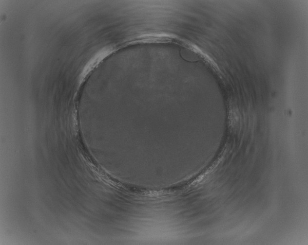 X0000073701362200608171102