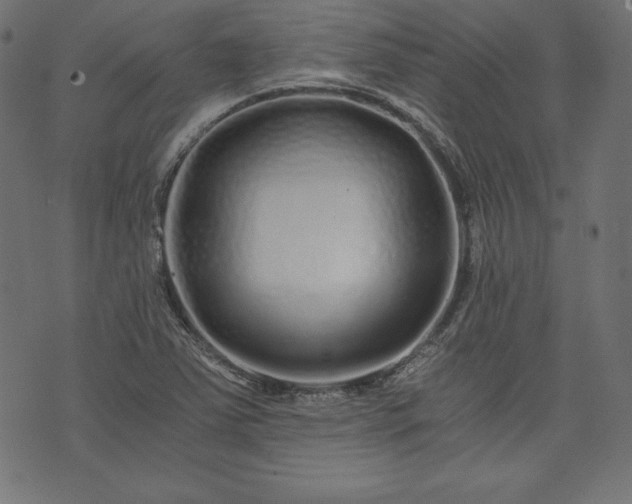 X0000073701363200608171102