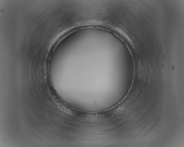 X0000073701364200608171102