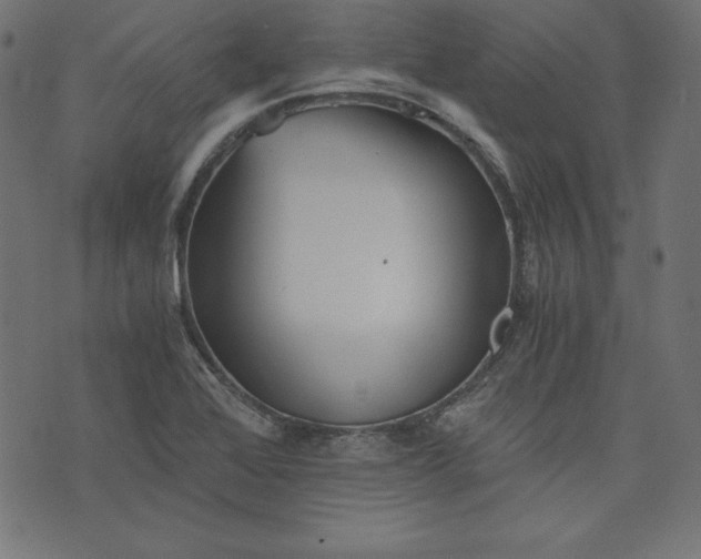 X0000073701368200608171102