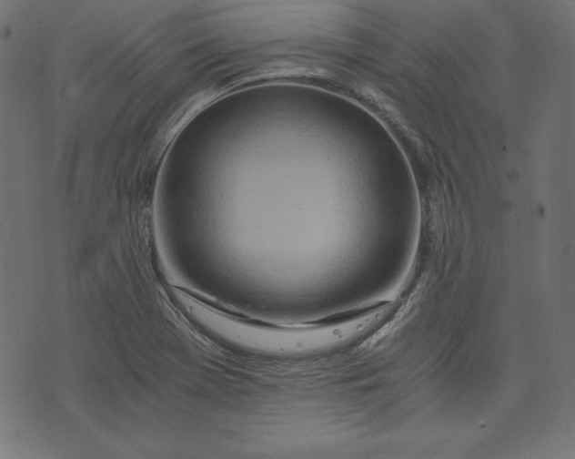 X0000073701369200608171102