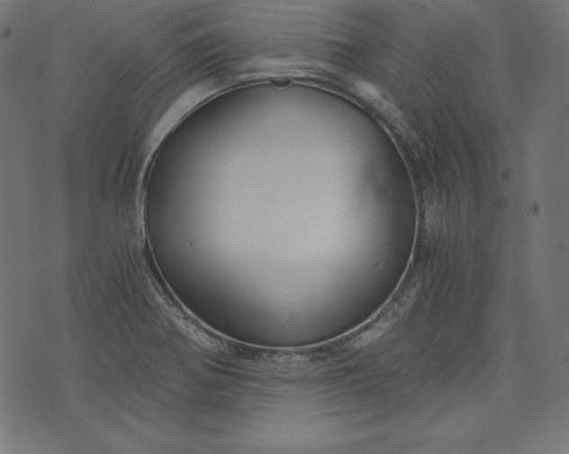 X0000073701370200608171102