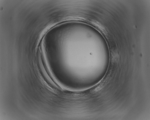 X0000073701371200608171102