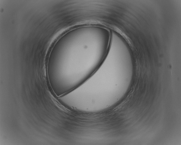 X0000073701372200608171102