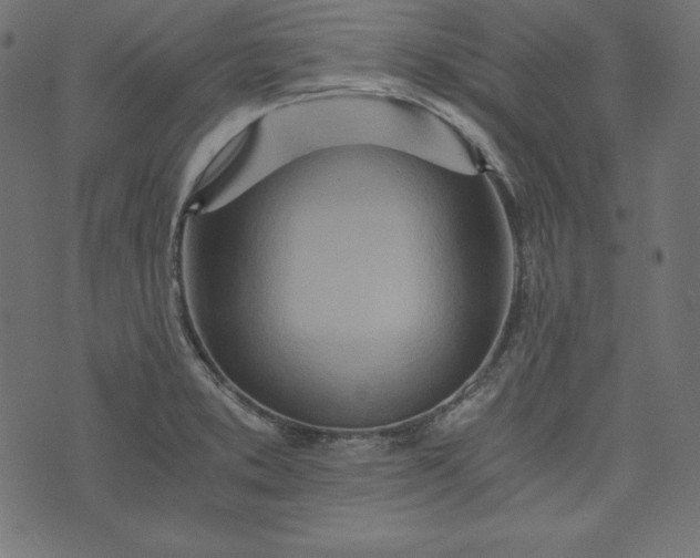 X0000073701373200608171102