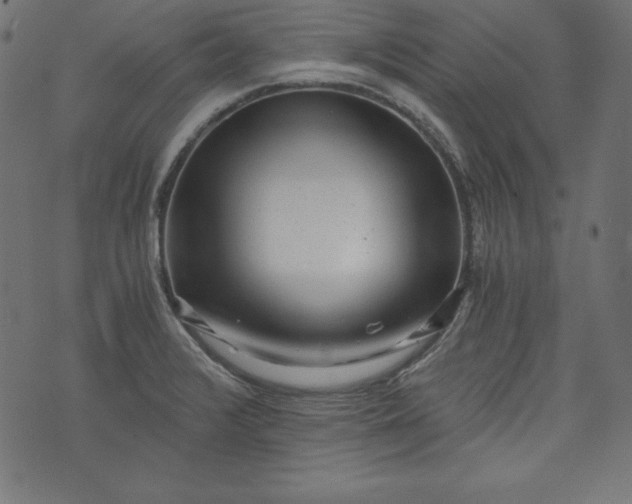 X0000073701376200608171102