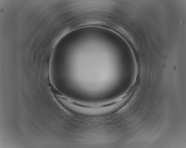 X0000073701377200608171102