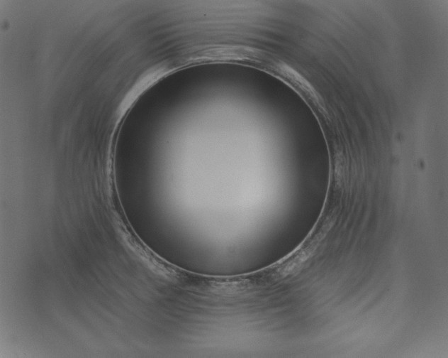 X0000073701378200608171102