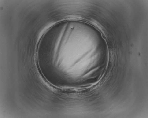 X0000073701379200608171102