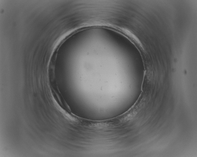 X0000073701380200608171102