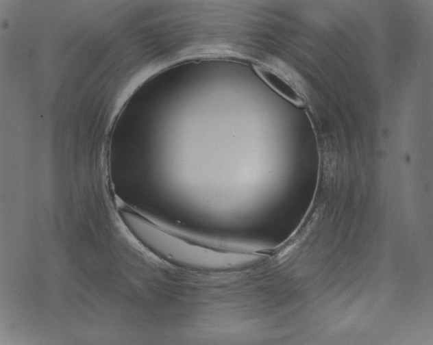 X0000073701382200608171102