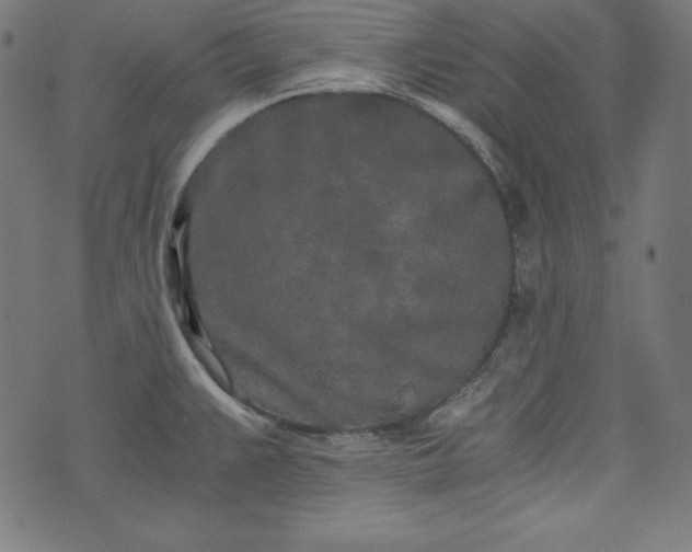 X0000073701383200608171102