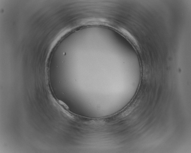 X0000073701384200608171102