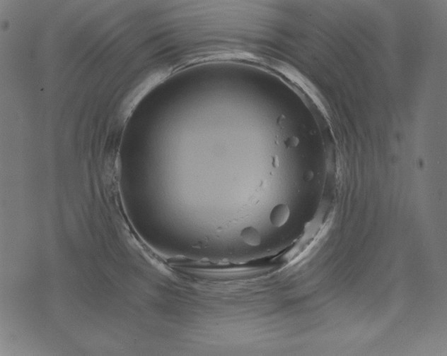 X0000073701385200608171102