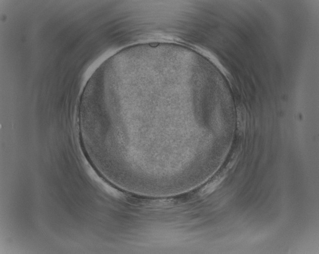 X0000073701387200608171102