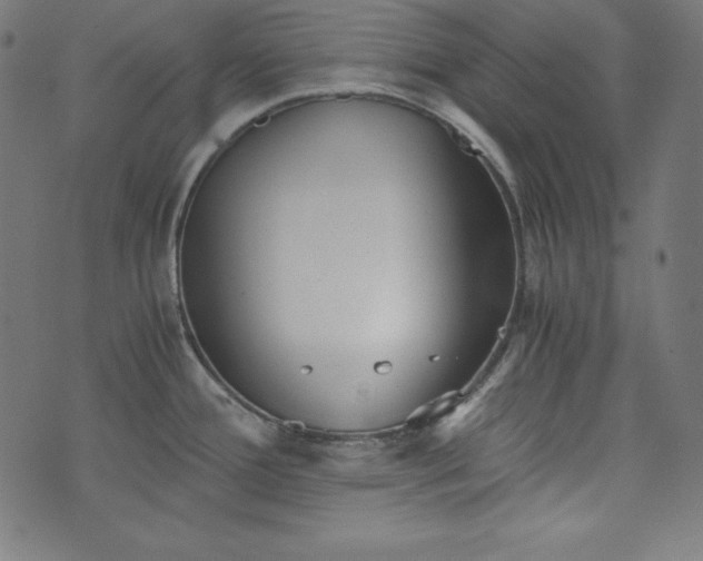 X0000073701388200608171102