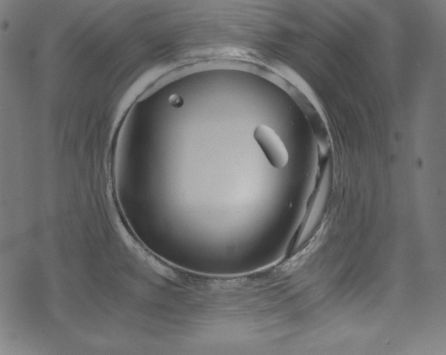 X0000073701389200608171102