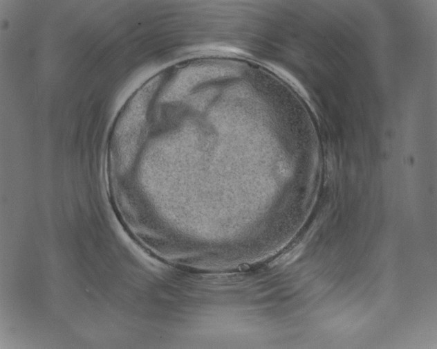 X0000073701391200608171102