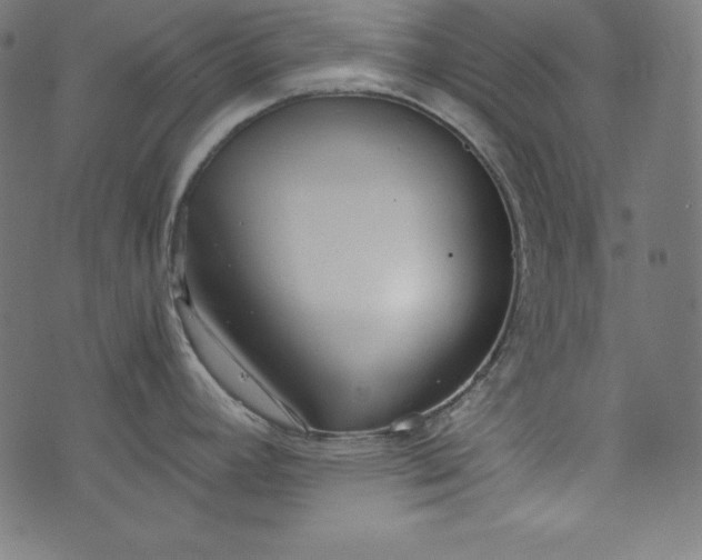 X0000073701392200608171102