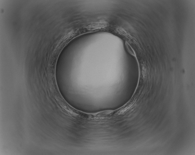 X0000073701393200608171101