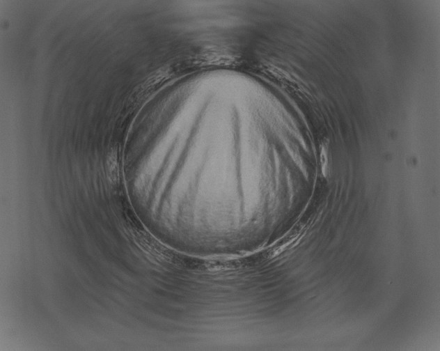 X0000073701395200608171101