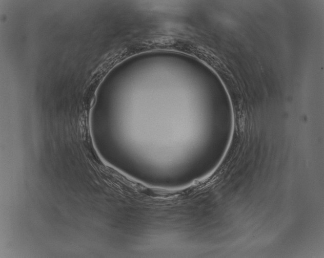 X0000073701397200608171101