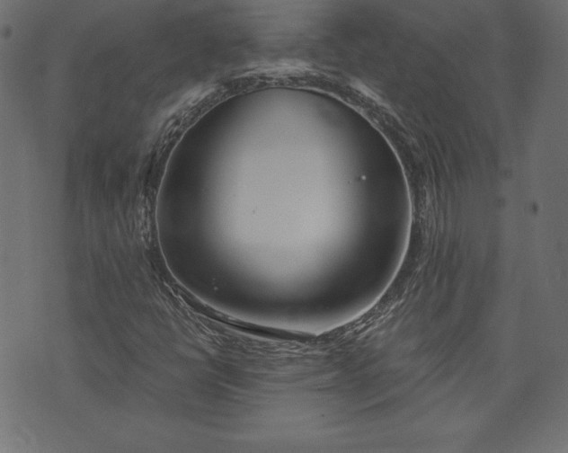 X0000073701398200608171101