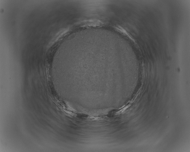 X0000073701399200608171101