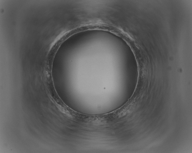 X0000073701400200608171101