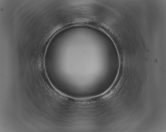 X0000073701401200608171101