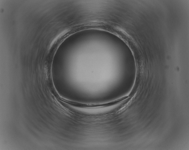 X0000073701402200608171101