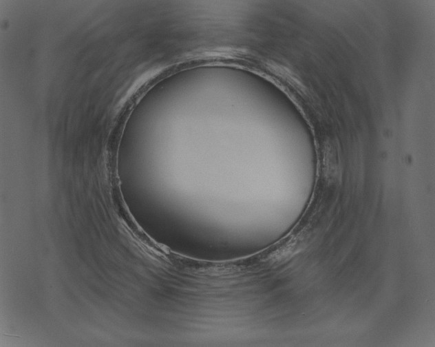 X0000073701404200608171101